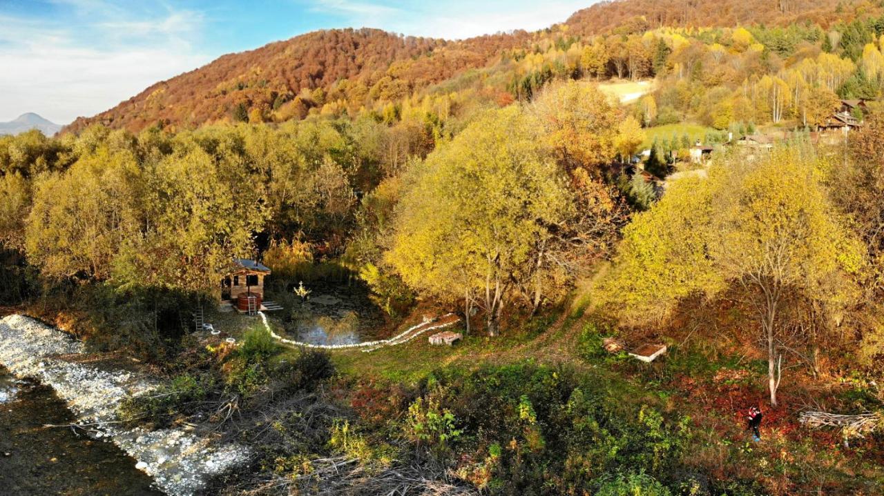 Cabana Vanatorului Rîşnov Luaran gambar